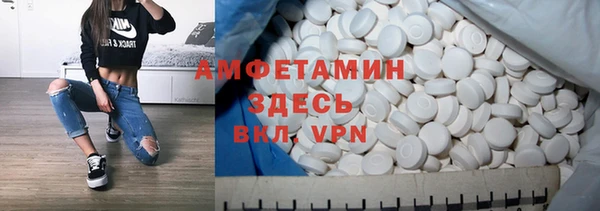 метадон Алексин