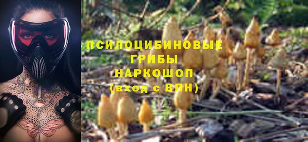 гашик Алексеевка