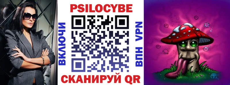 хочу наркоту  Гдов  Галлюциногенные грибы Psilocybe 